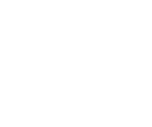 Ferments Logo